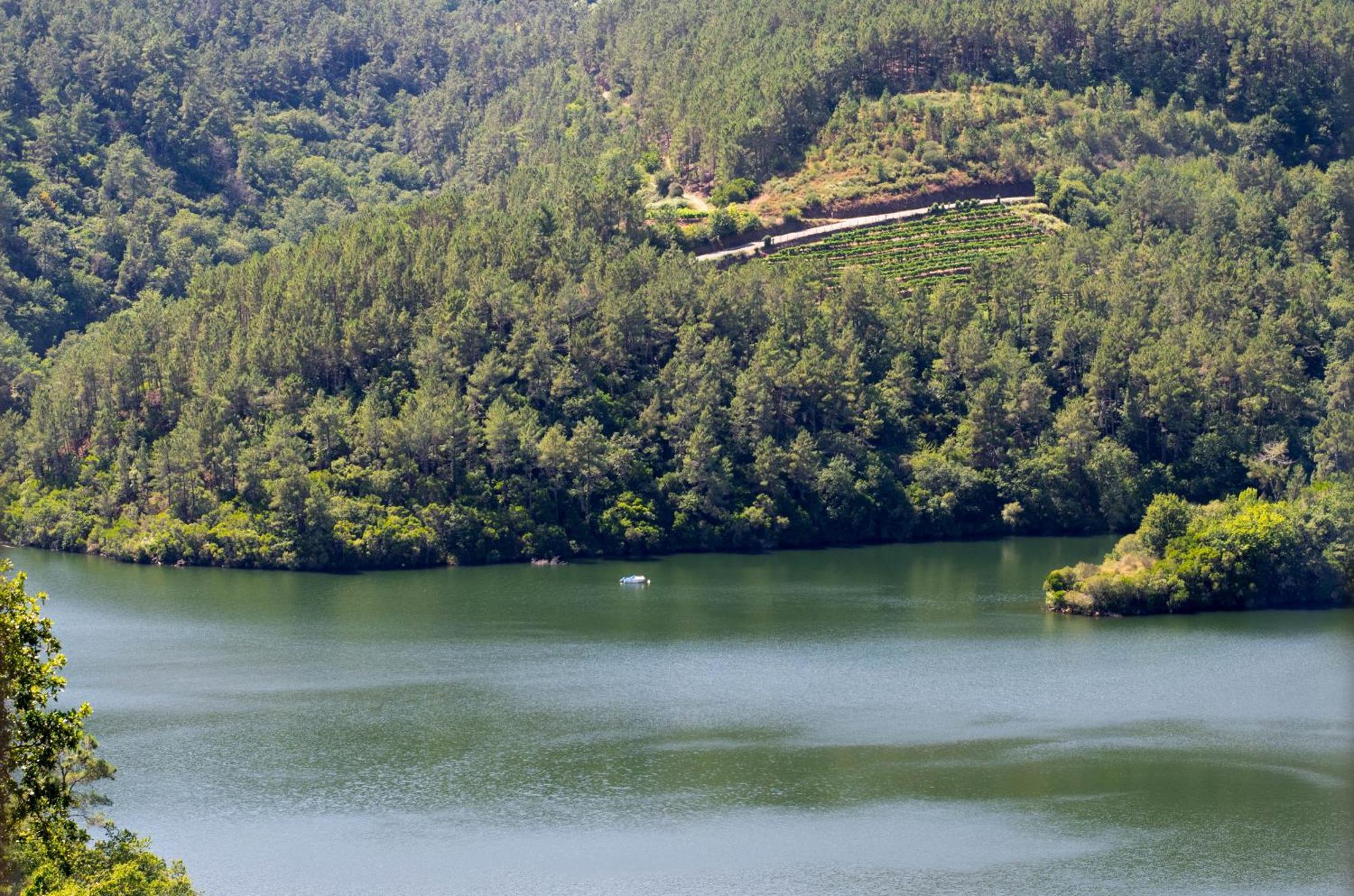 فيلا Ecolagar O Barqueiro Pantón المظهر الخارجي الصورة