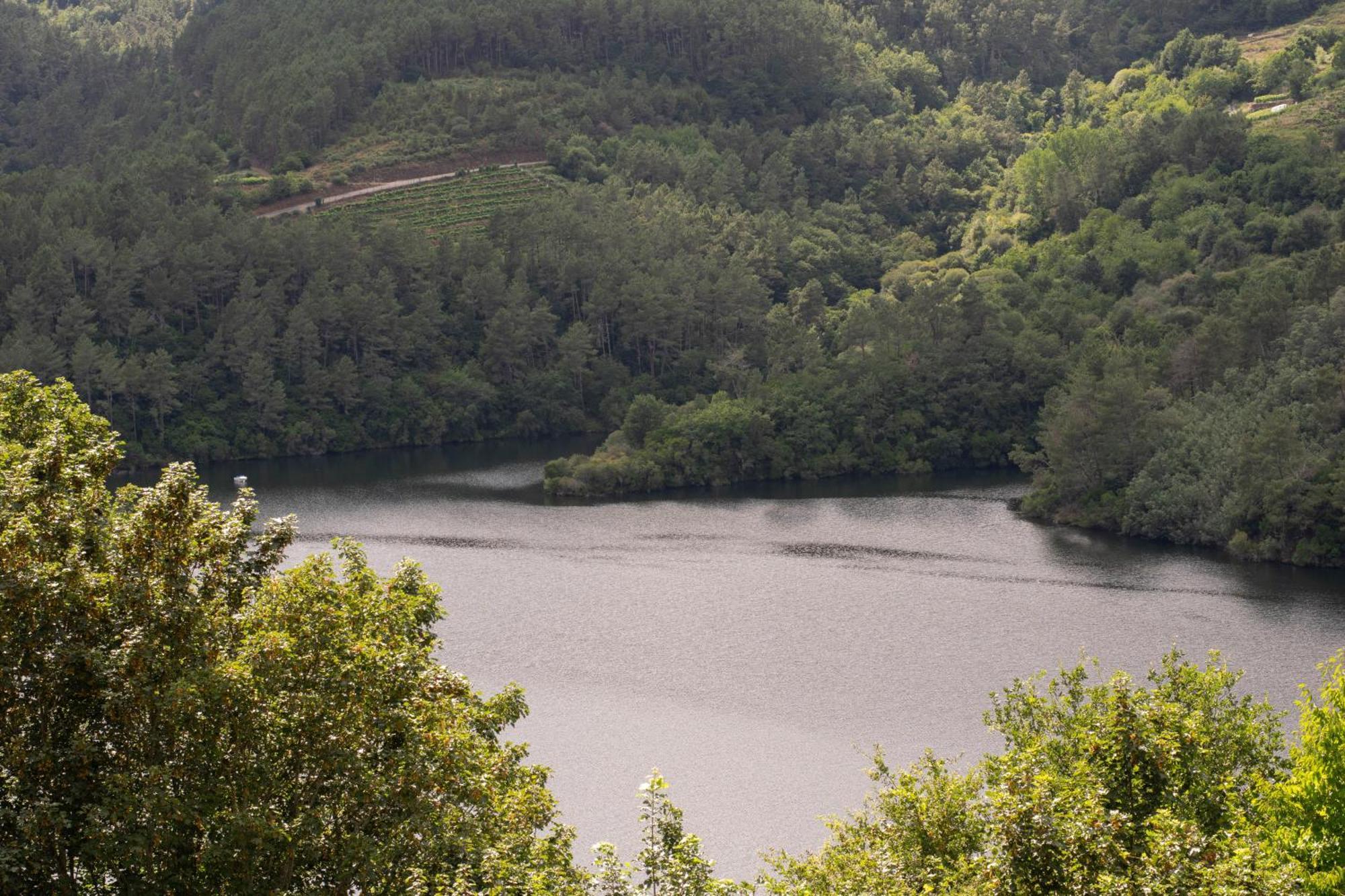 فيلا Ecolagar O Barqueiro Pantón المظهر الخارجي الصورة